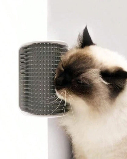 Self-Grooming Cat Wall Scratcher