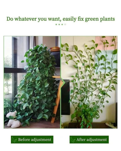 Leaf-Shaped Adhesive Greenery Fixator
