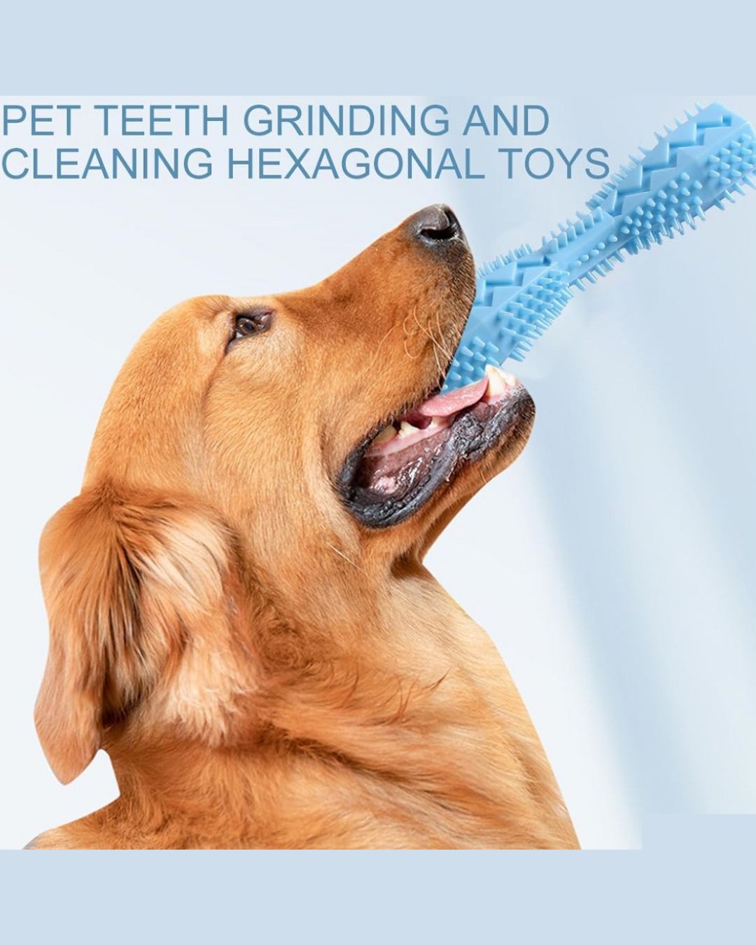 Durable Dog Toothbrush & Chew Toy