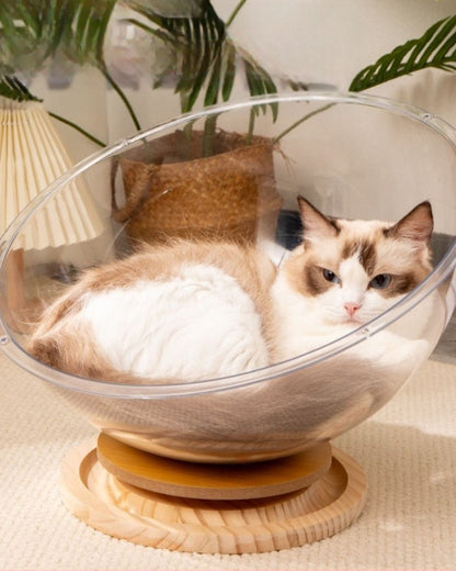 Space Capsule Cat Nest
