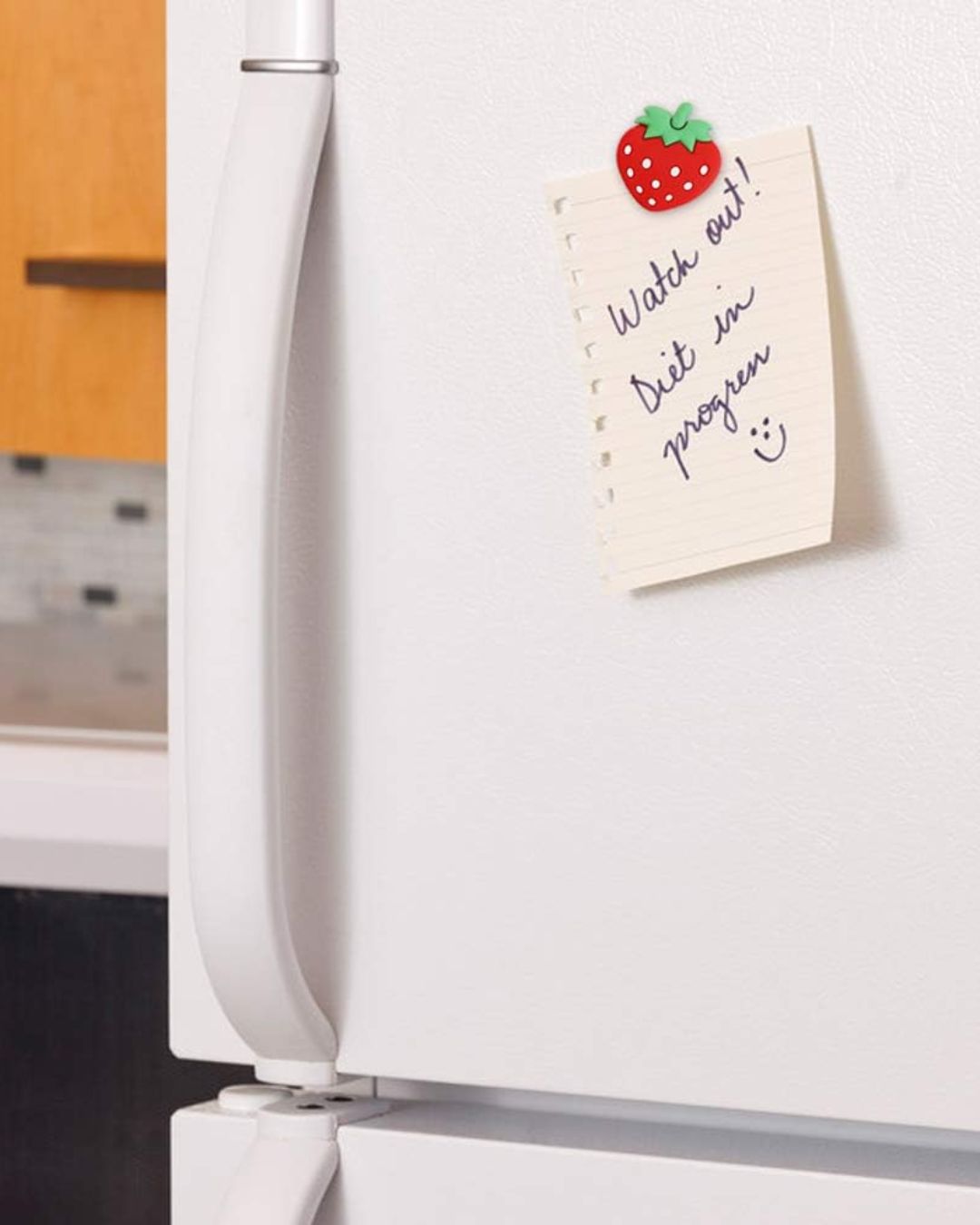 Mini Fruits Fridge Magnets