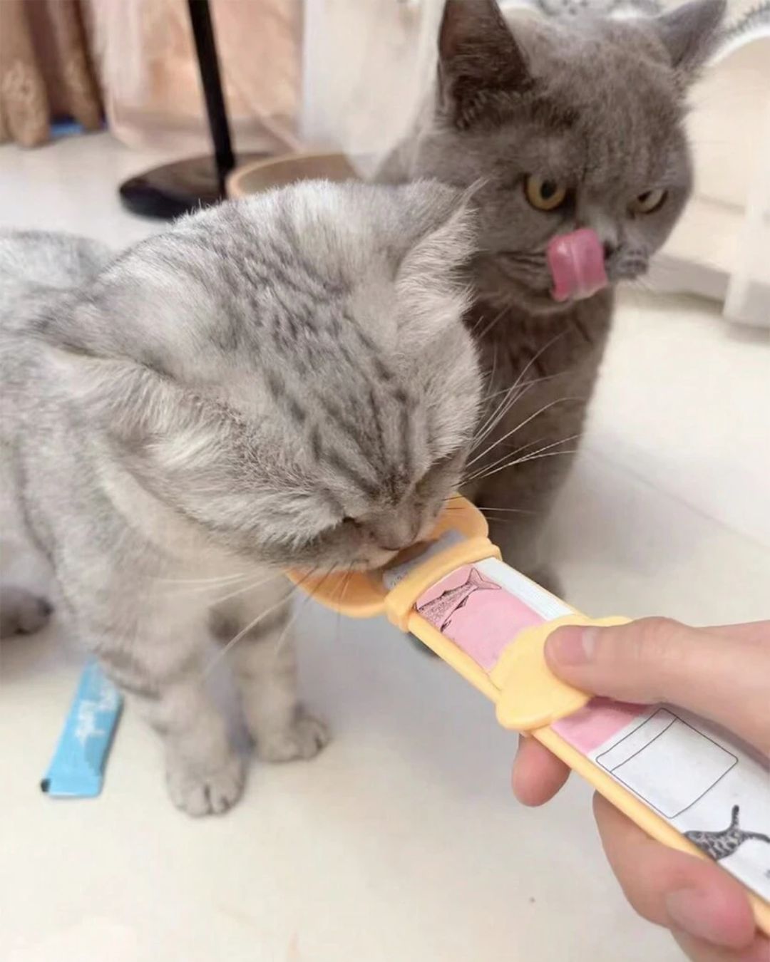 Cat Treat Squeeze Spoon
