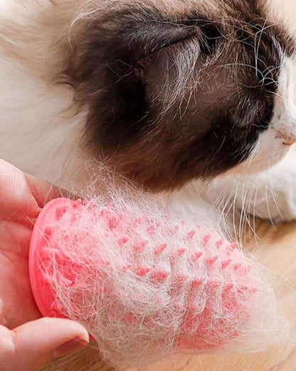 Silicone Cat Scratching Massage Tool