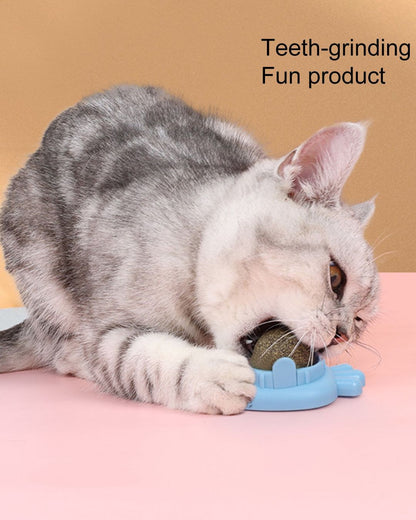 Catnip Ball