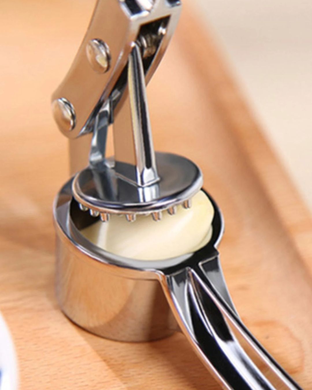 2 in 1 Stainless Steel Garlic Press