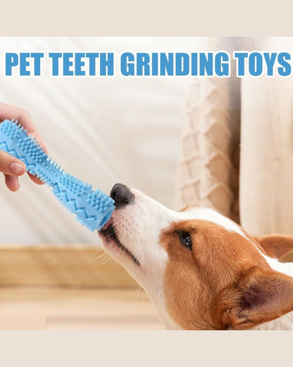 Durable Dog Toothbrush & Chew Toy