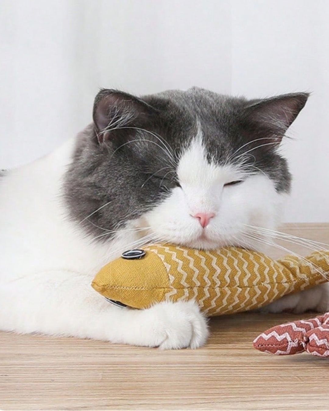 Simulation Fish Shaped Cat Toy With Catnip Flavor