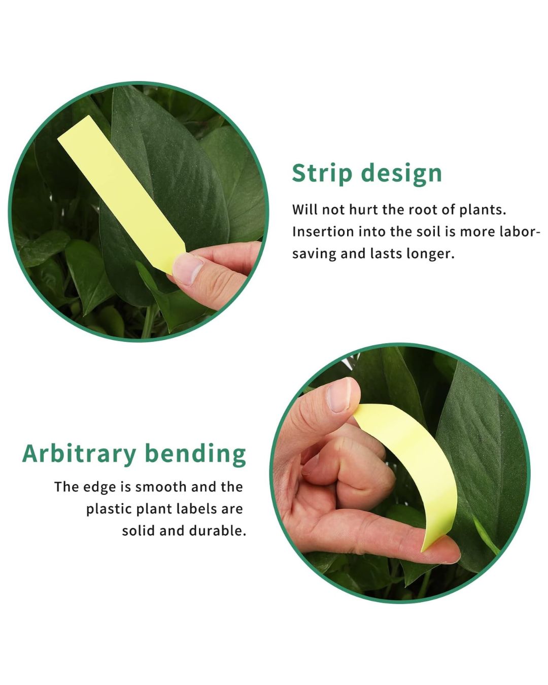 Plastic Plant Labels