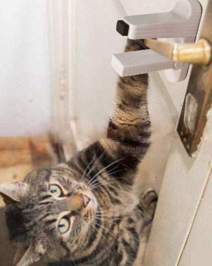 Multifunctional Door Lock