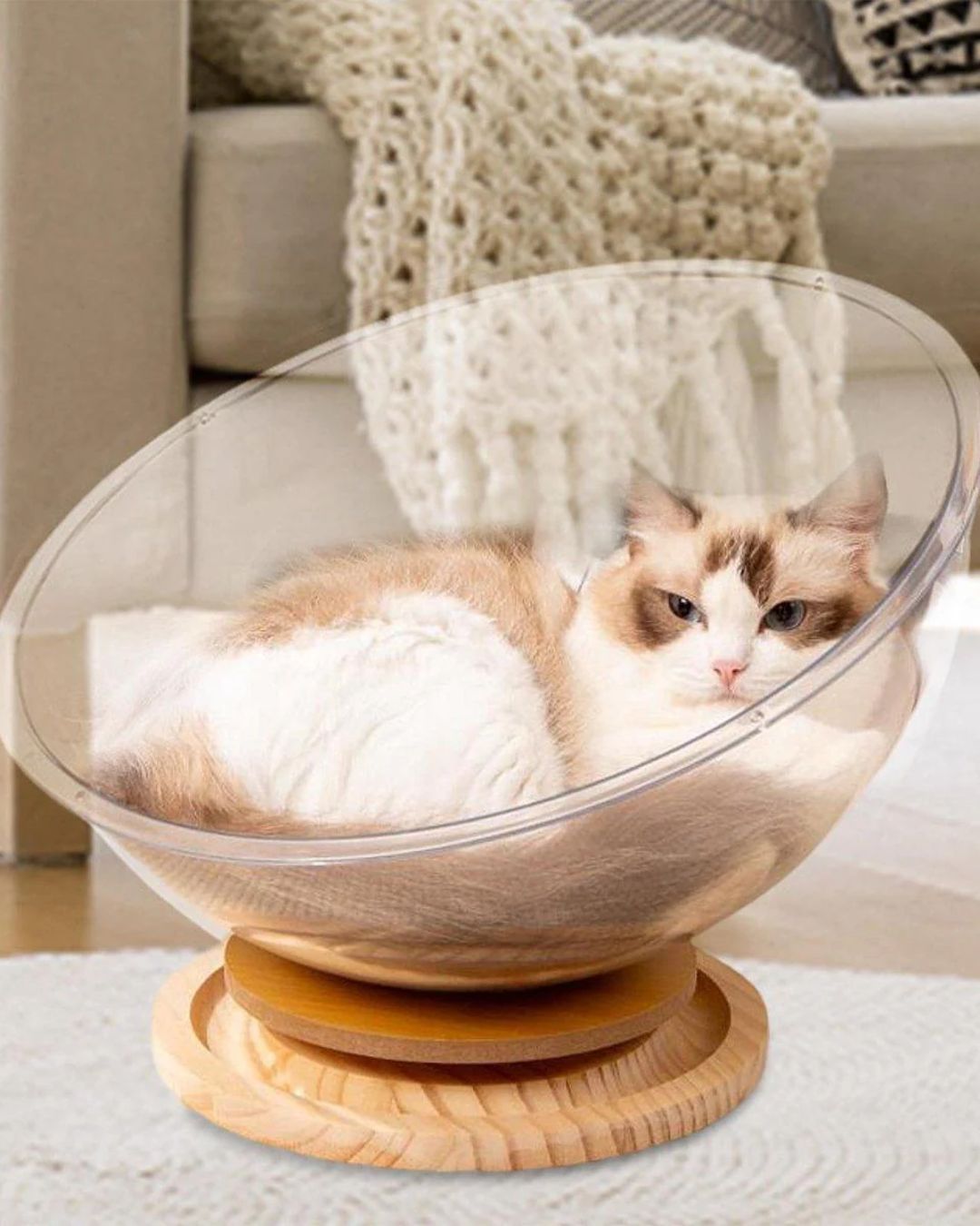 Space Capsule Cat Nest