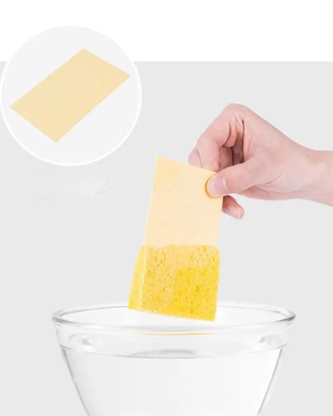 Compressed Wood Pulp Sponges