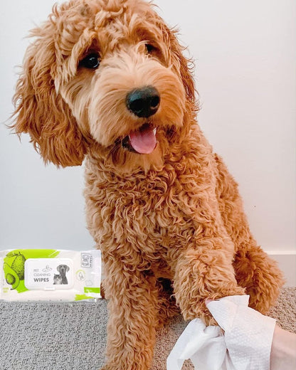 Pet Cleaning & Grooming Wipes