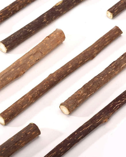 Catnip Chew Sticks