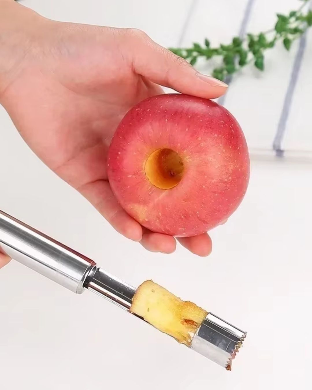 Stainless Steel Fruit Core Remover
