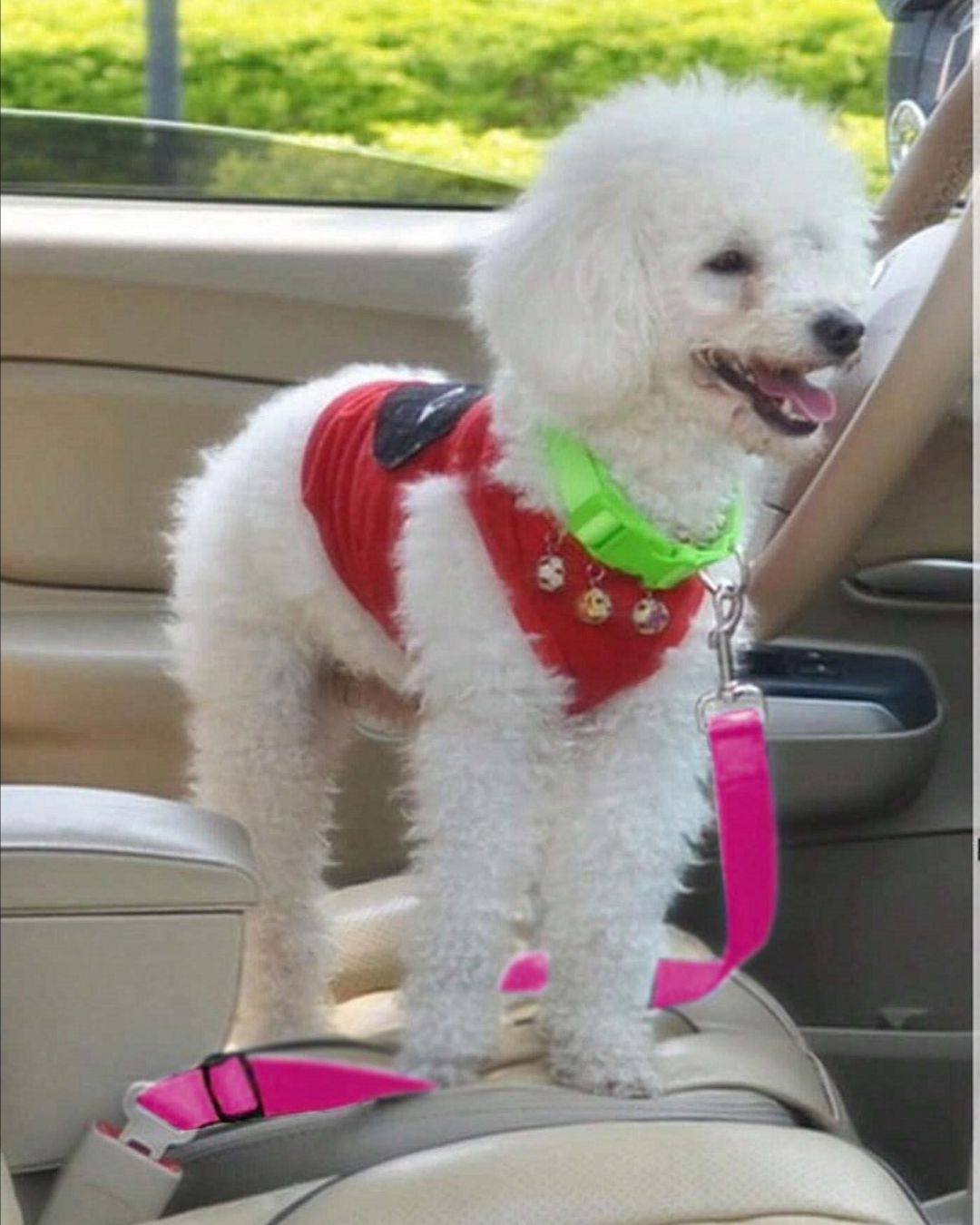 Adjustable Pet Seat Belt For Cars