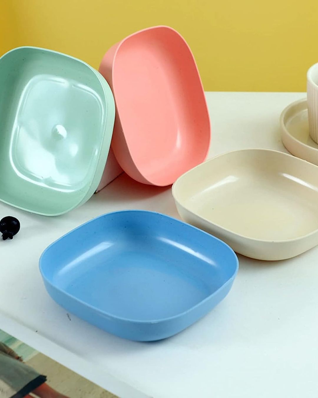 10 Plates Set with Stand