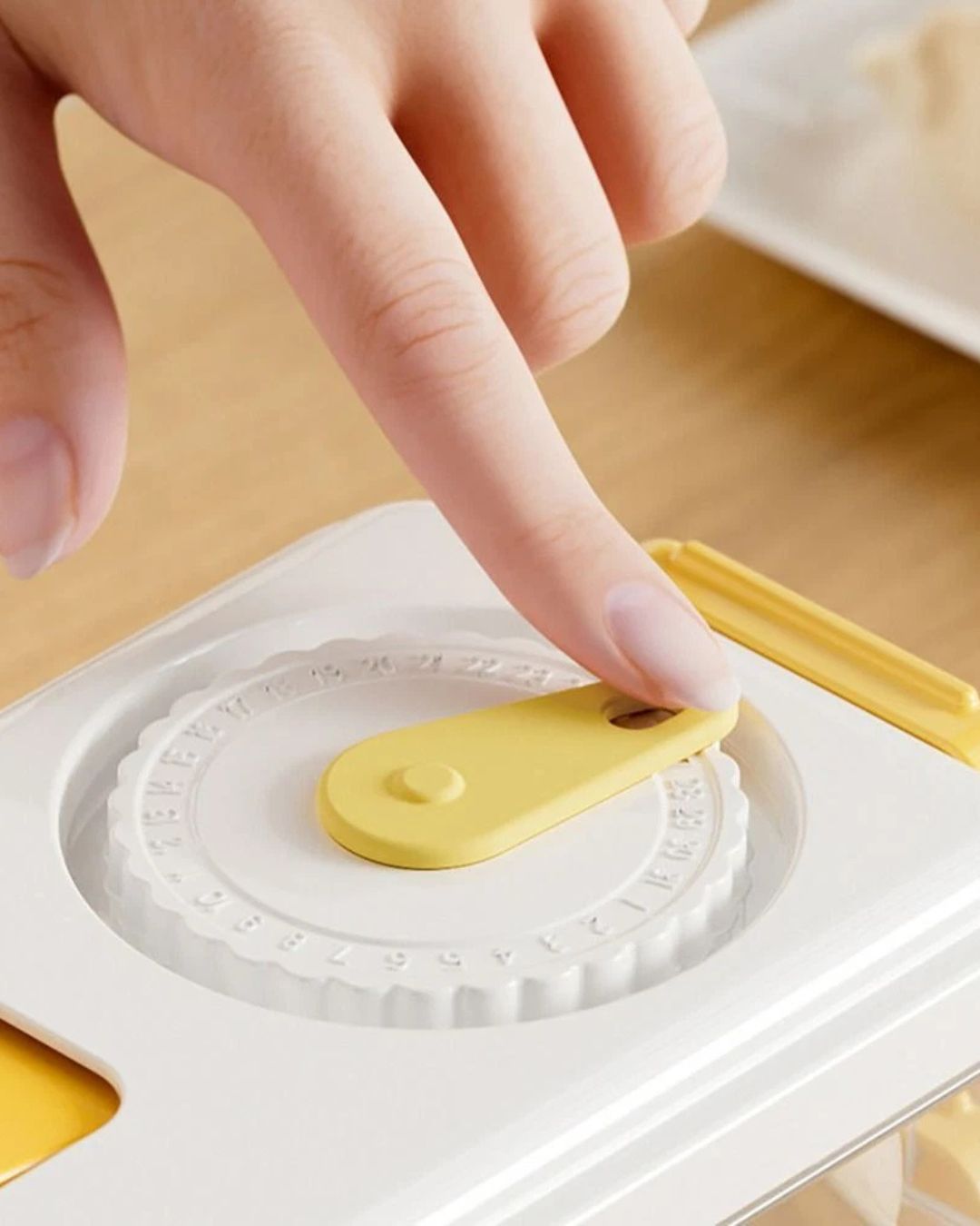 Three-Layered Food Storage Box