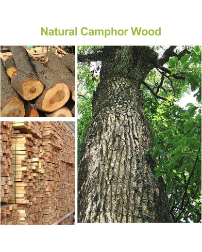 Camphor Wood Balls