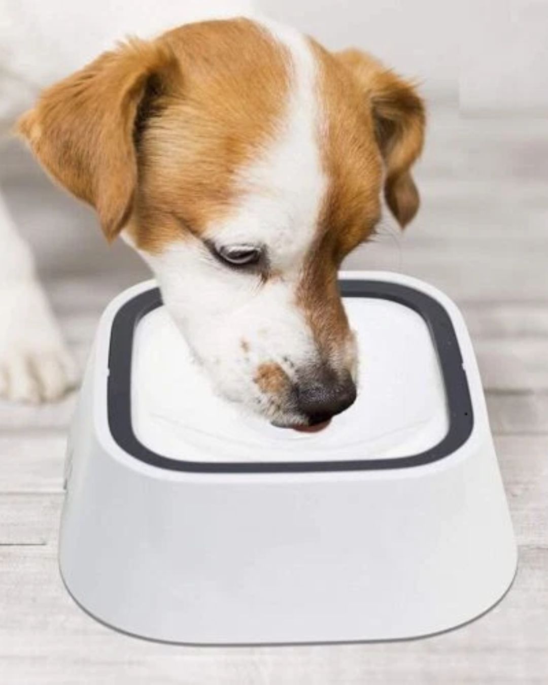 No-Spill Pet Water Bowl