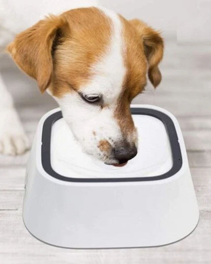 No-Spill Pet Water Bowl
