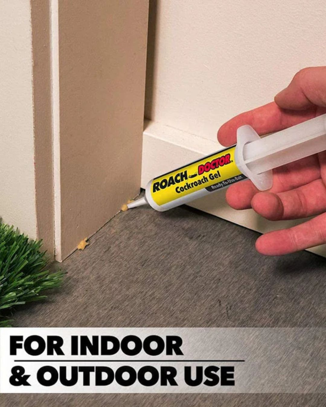Anti Cockroach Syringe Gel