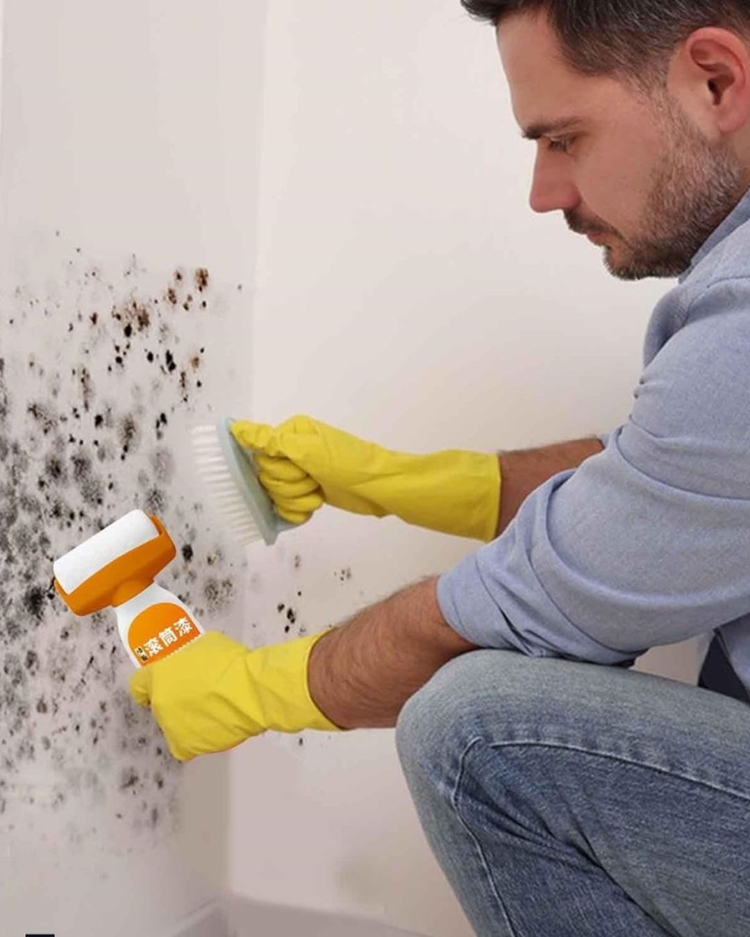 Wall Paint Roller