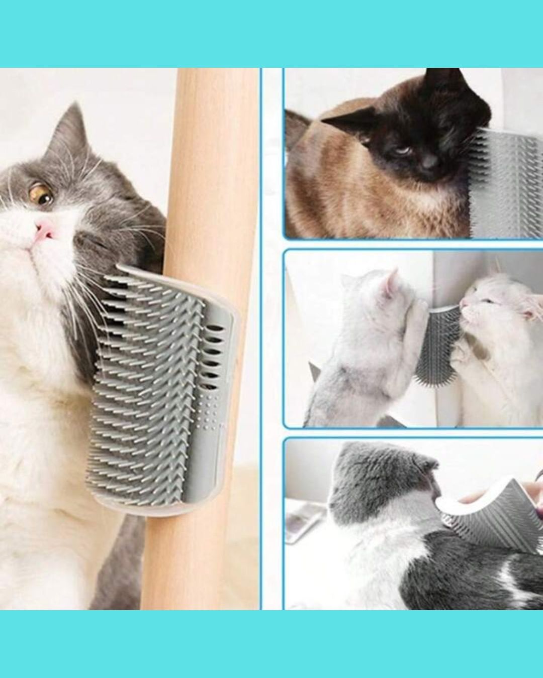 Self-Grooming Cat Wall Scratcher