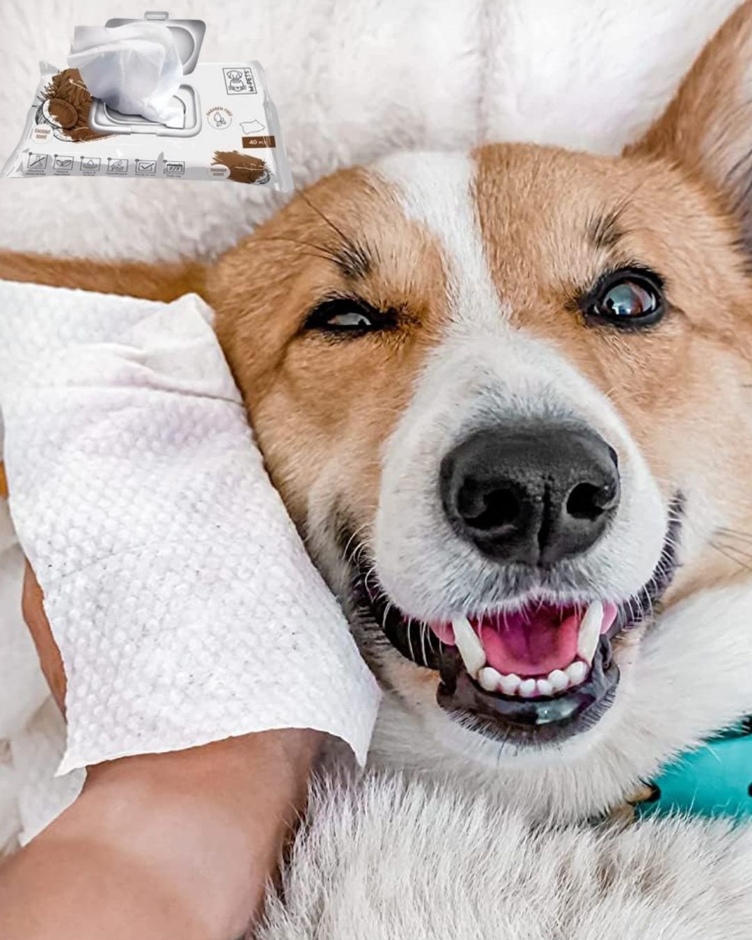 Pet Cleaning & Grooming Wipes