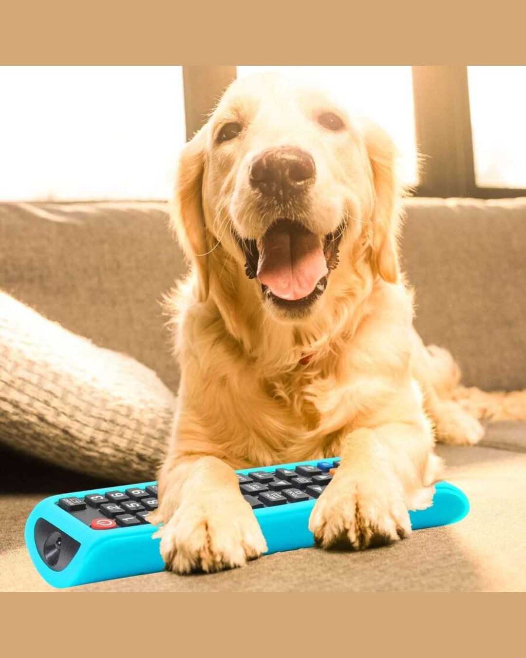 Neon Remote Control Case