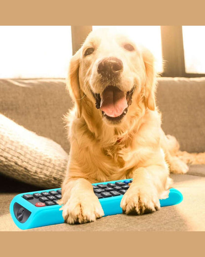 Neon Remote Control Case
