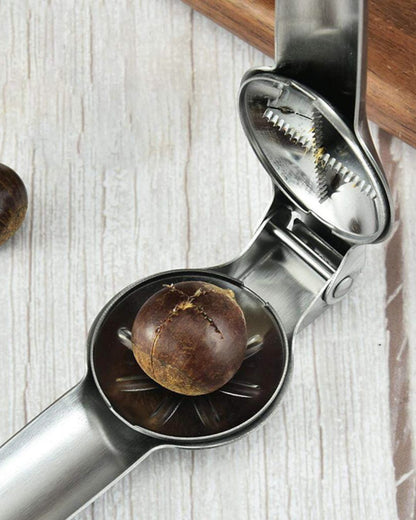 Stainless Steel Chestnut Cutter