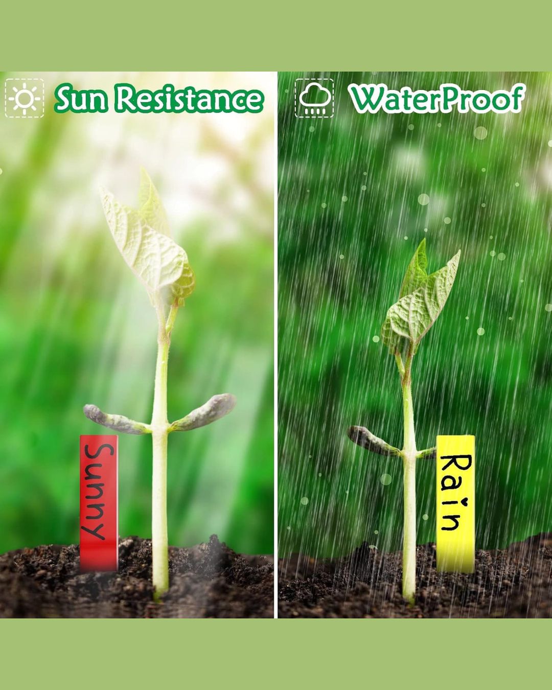 Plastic Plant Labels