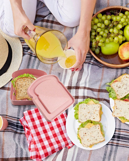 Toast Shape Sandwich Box
