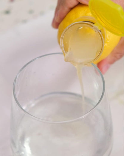 Manual Lemon Juicer and Spray Set