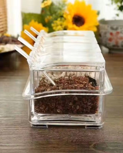 Transparent Spice Box Serving Set with Spoons