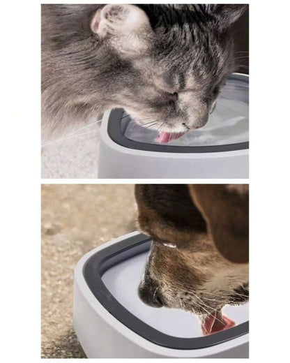 No-Spill Pet Water Bowl