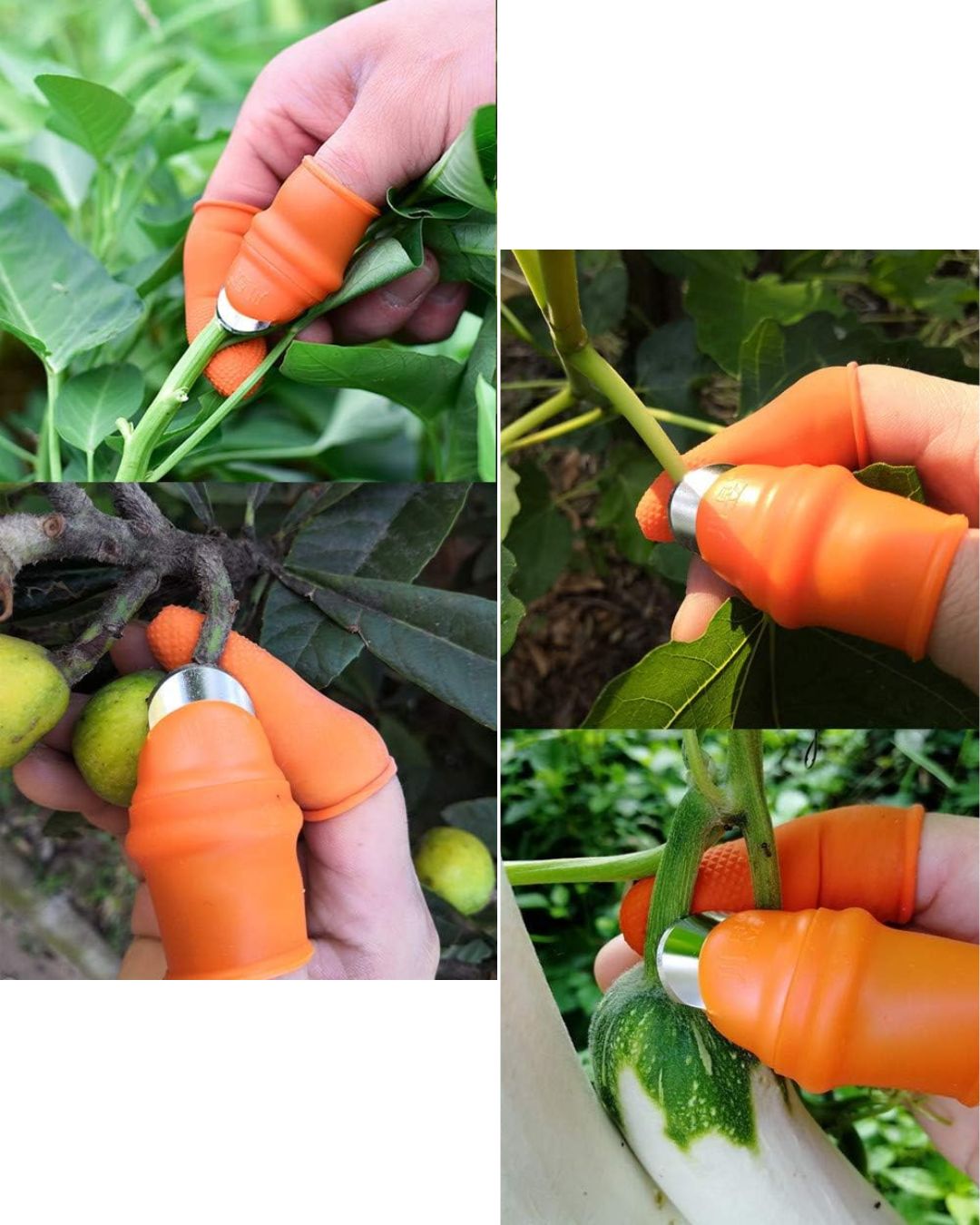 Garden Thumb Knife & 5pcs Finger Cover