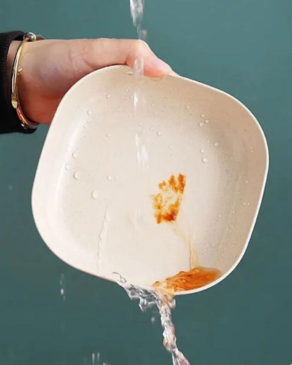 10 Plates Set with Stand