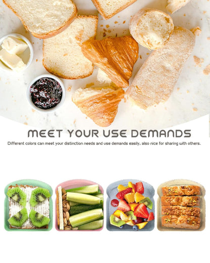 Toast Shape Sandwich Box