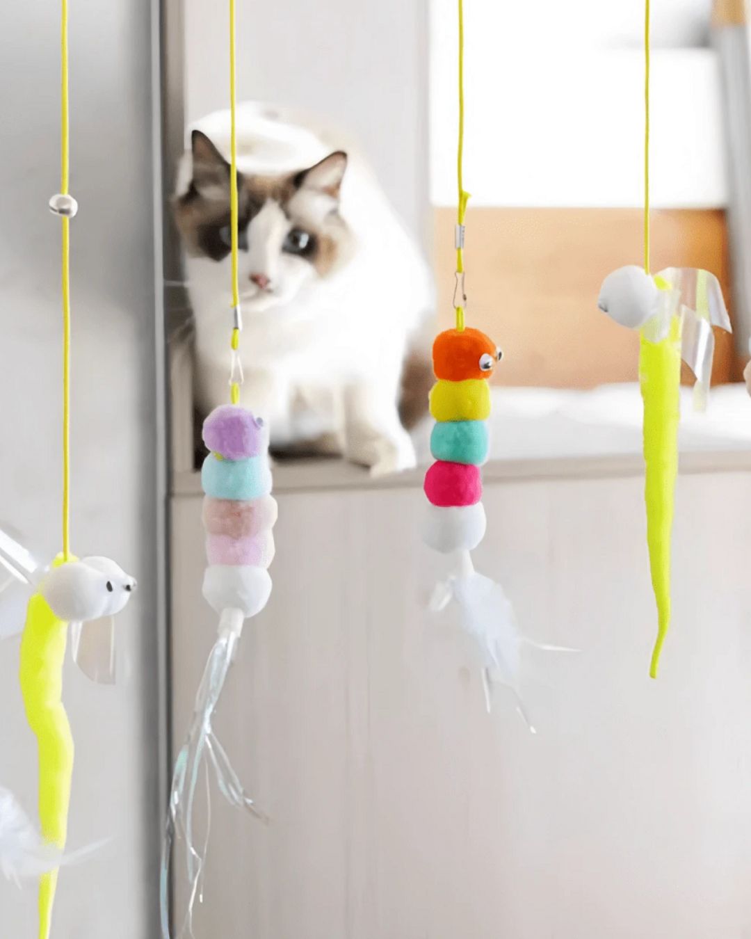 Caterpillar Cat Toy