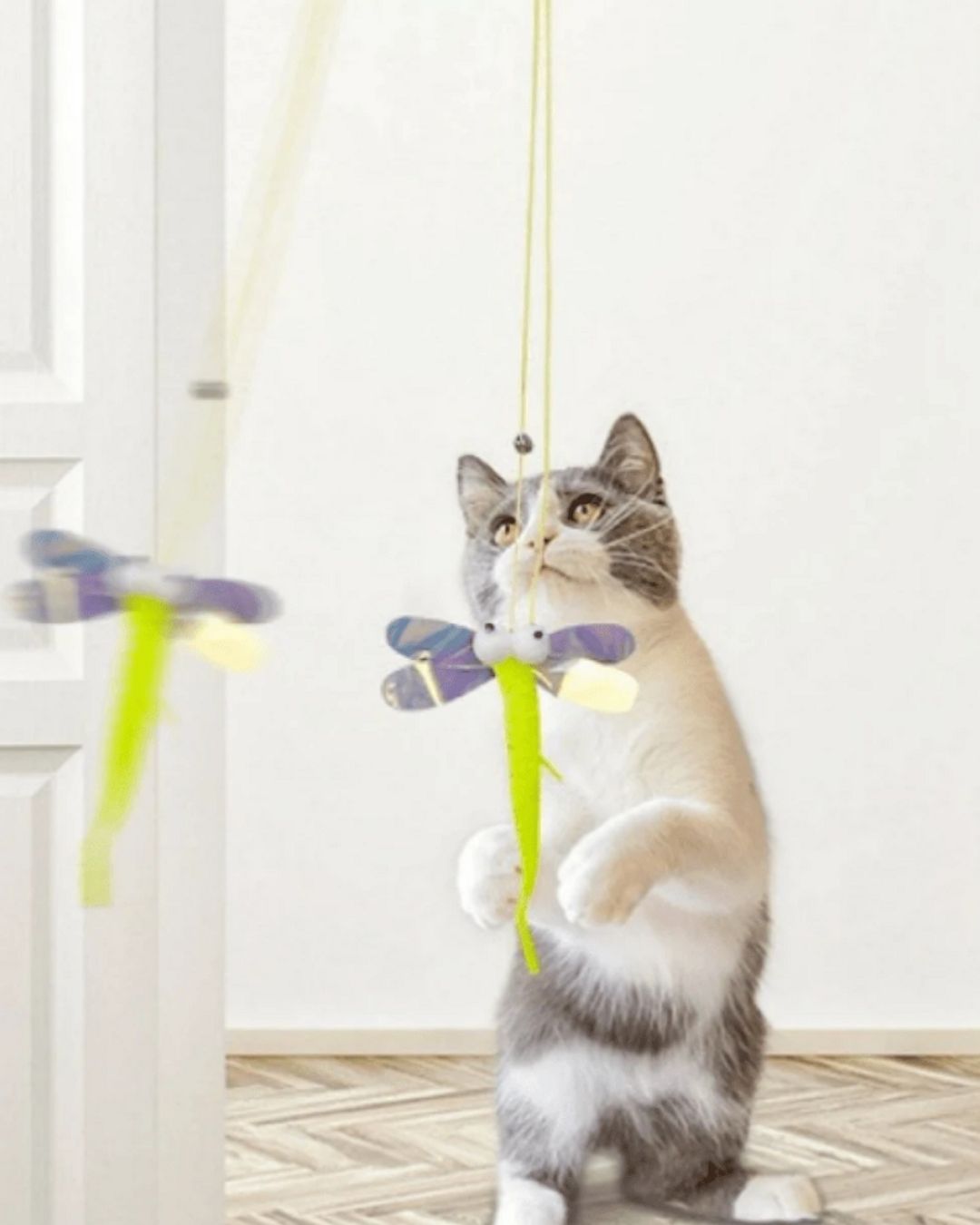 Caterpillar Cat Toy